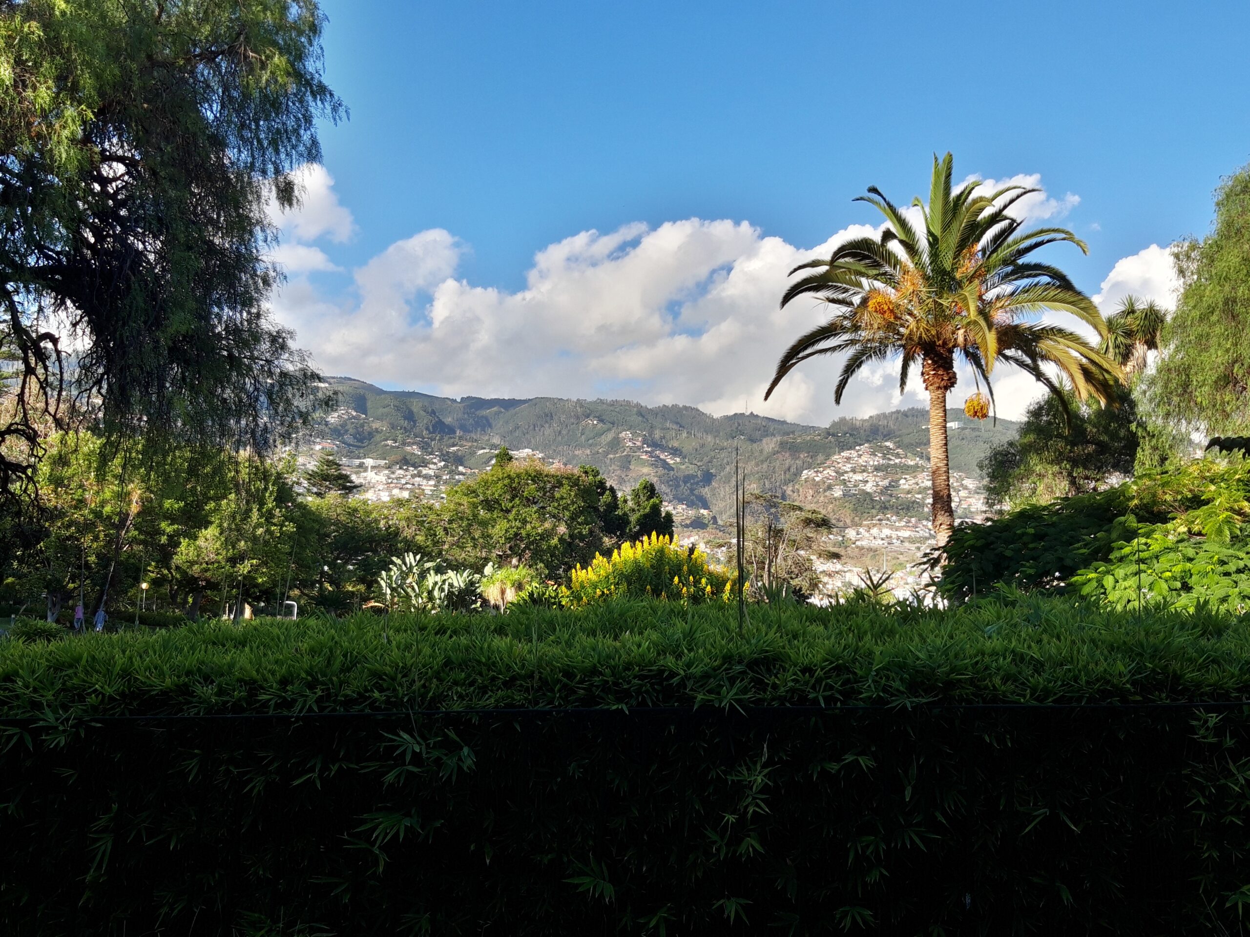 Madeira, Funchal, Santa Catarina Park