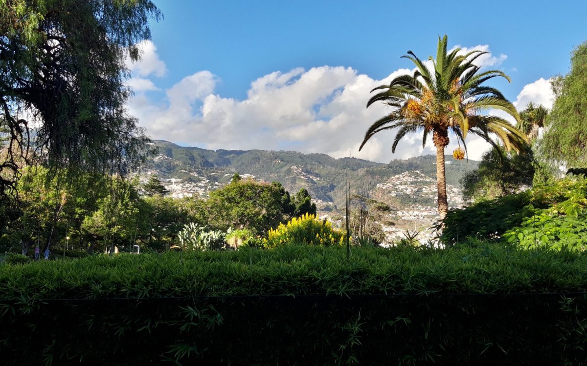 Madeira, Funchal, Santa Catarina Park